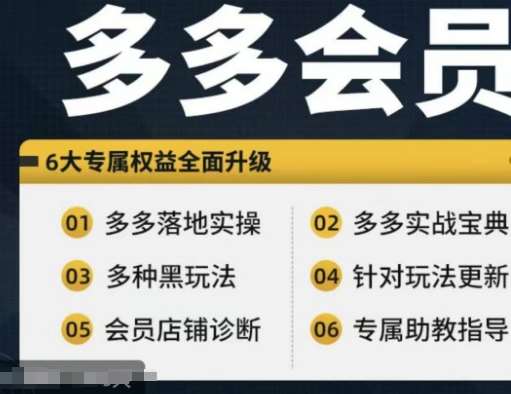 拼多多会员，拼多多实战宝典+实战落地实操，从新手到高阶内容全面覆盖-云商网创