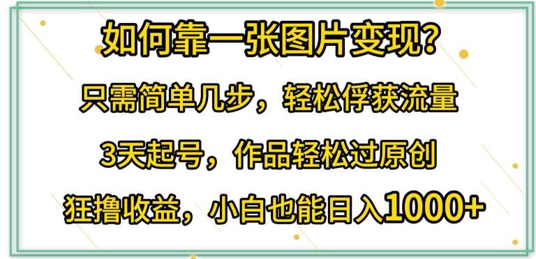 如何靠一张图片变现?只需简单几步，轻松俘获流量，3天起号，作品轻松过原创【揭秘】-云商网创