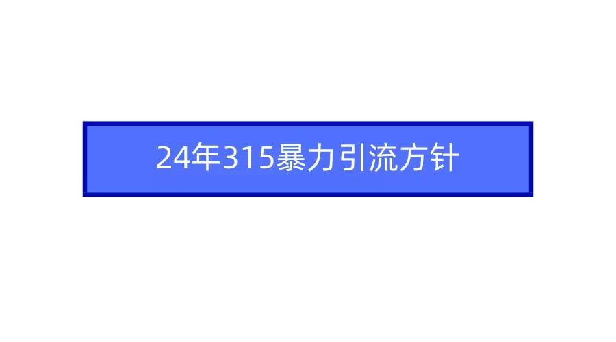 2024年315暴力引流方针-云商网创