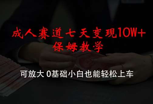 成人赛道七天变现10W+保姆教学，可放大，0基础小白也能轻松上车【揭秘】-云商网创