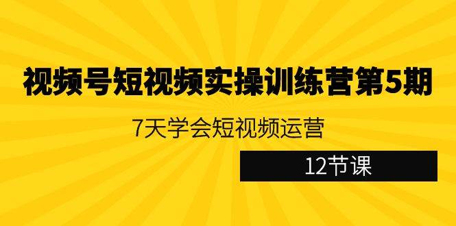 （9029期）视频号短视频实操训练营第5期：7天学会短视频运营（12节课）-云商网创