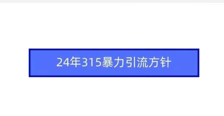 24年315暴力引流方针-云商网创