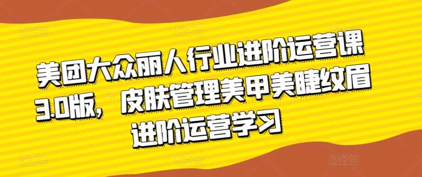 美团大众丽人行业进阶运营课3.0版，皮肤管理美甲美睫纹眉进阶运营学习-云商网创