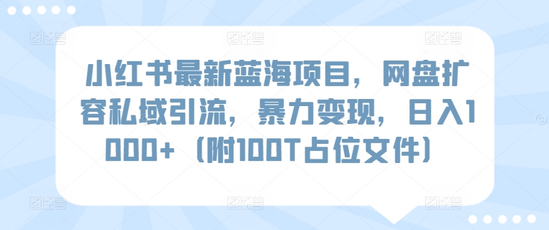 小红书最新蓝海项目，网盘扩容私域引流，暴力变现，日入1000+（附100T占位文件）【揭秘】-云商网创