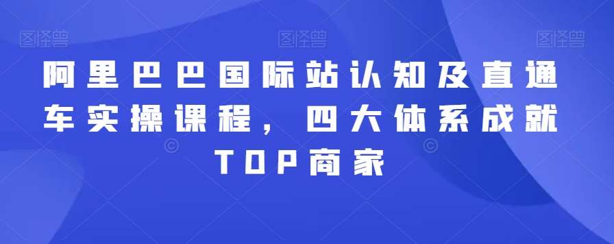 阿里巴巴国际站认知及直通车实操课程，四大体系成就TOP商家-云商网创