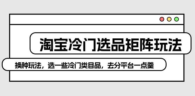 淘宝冷门选品矩阵玩法：换种玩法，选一些冷门类目品，去分平台一点羹-云商网创