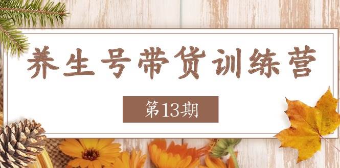 （11275期）养生号-带货训练营【第13期】收益更稳定的玩法，让你带货收益爆炸-云商网创