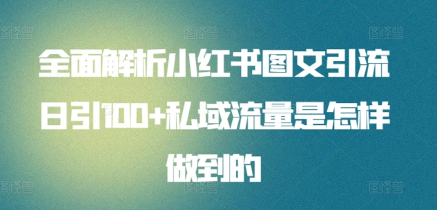 全面解析小红书图文引流日引100私域流量是怎样做到的-云商网创