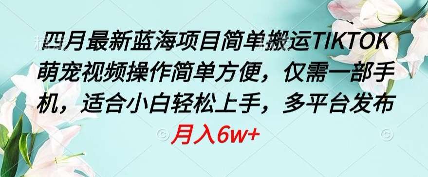 四月最新蓝海项目，简单搬运TIKTOK萌宠视频，操作简单方便，仅需一部手机【揭秘】-云商网创