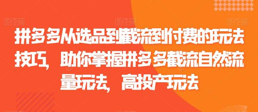 拼多多从选品到截流到付费的玩法技巧，助你掌握拼多多截流自然流量玩法，高投产玩法-云商网创