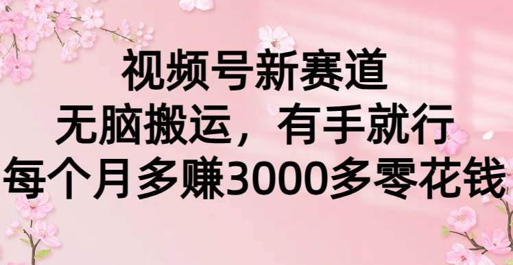 视频号新赛道，无脑搬运，有手就行，每个月多赚3000多零花钱-云商网创