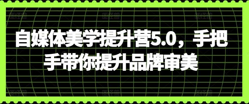 自媒体美学提升营5.0，手把手带你提升品牌审美-云商网创
