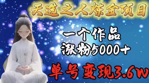 天选之人炼金项目，一个作品涨粉5000+，单号变现3.6w【揭秘】-云商网创