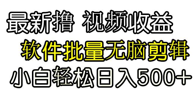 发视频撸收益，软件无脑批量剪辑，第一天发第二天就有钱-云商网创