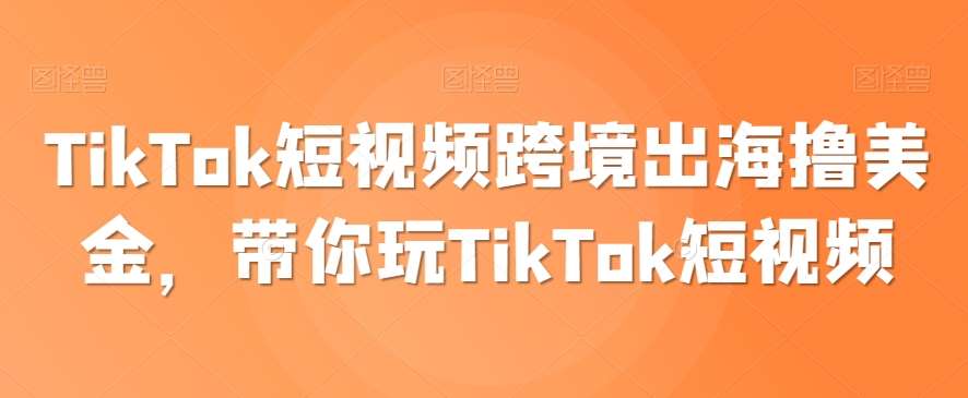 TikTok短视频跨境出海撸美金，带你玩TikTok短视频-云商网创