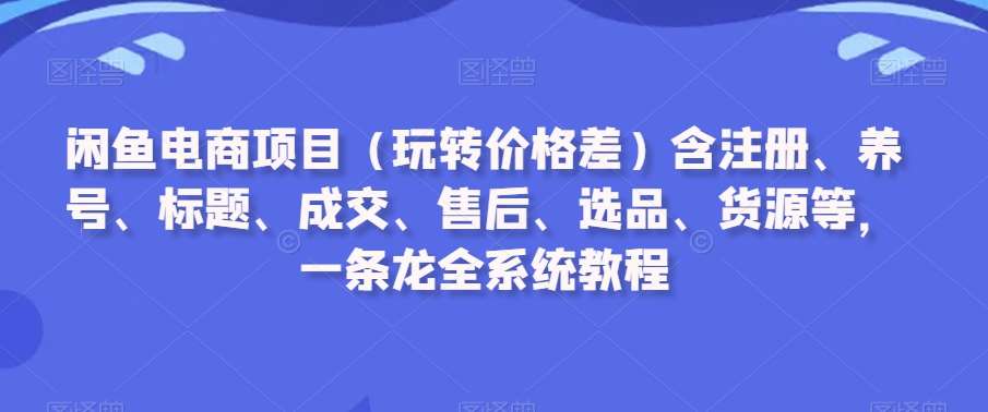 闲鱼电商项目（玩转价格差）含注册、养号、标题、成交、售后、选品、货源等，一条龙全系统教程-云商网创