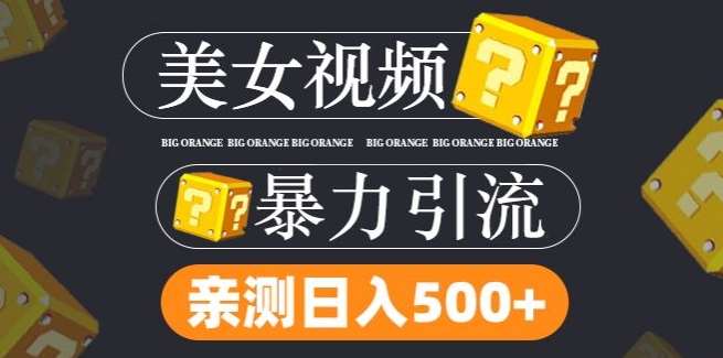 搬运tk美女视频全网分发，日引s粉300+，轻松变现，不限流量不封号【揭秘】-云商网创