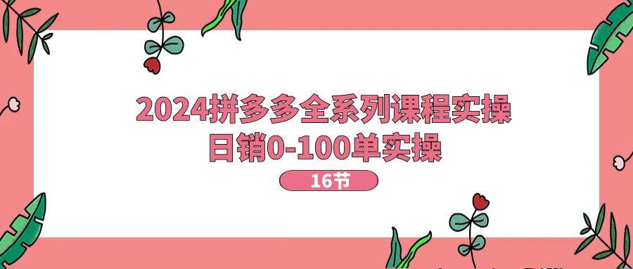 2024拼多多全系列课程实操，日销0-100单实操【16节课】-云商网创