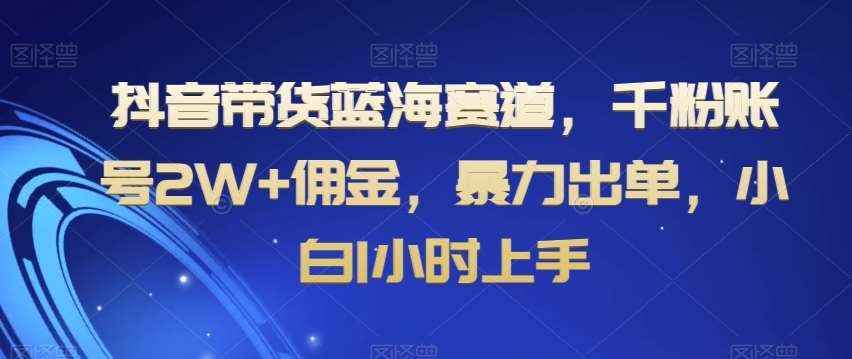 抖音带货蓝海赛道，千粉账号2W+佣金，暴力出单，小白1小时上手【揭秘】-云商网创