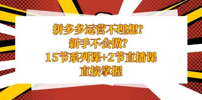 拼多多运营不理想？新手不会做？15节系列课+2节直播课，直接掌握-云商网创