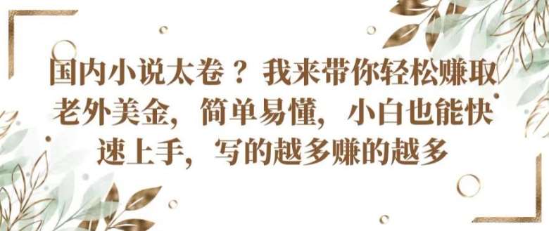 国内小说太卷 ?带你轻松赚取老外美金，简单易懂，小白也能快速上手，写的越多赚的越多【揭秘】-云商网创