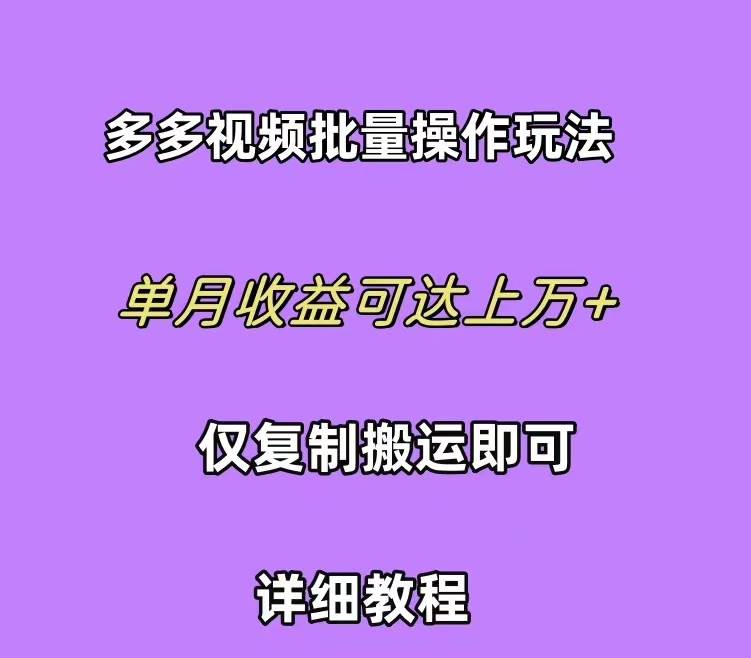（10029期）拼多多视频带货快速过爆款选品教程 每天轻轻松松赚取三位数佣金 小白必…-云商网创
