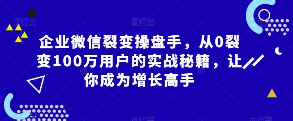 企业微信裂变操盘手，从0裂变100万用户的实战秘籍，让你成为增长高手-云商网创