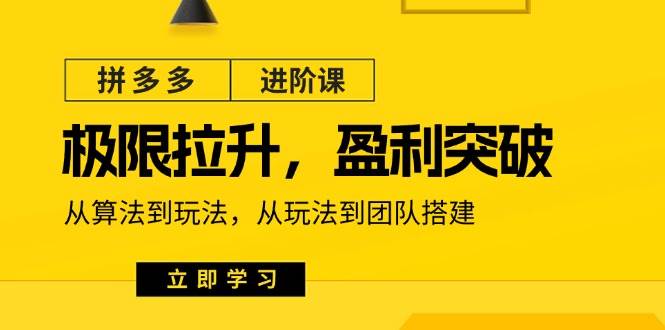 （11435期）拼多多·进阶课：极限拉升/盈利突破：从算法到玩法 从玩法到团队搭建-18节-云商网创