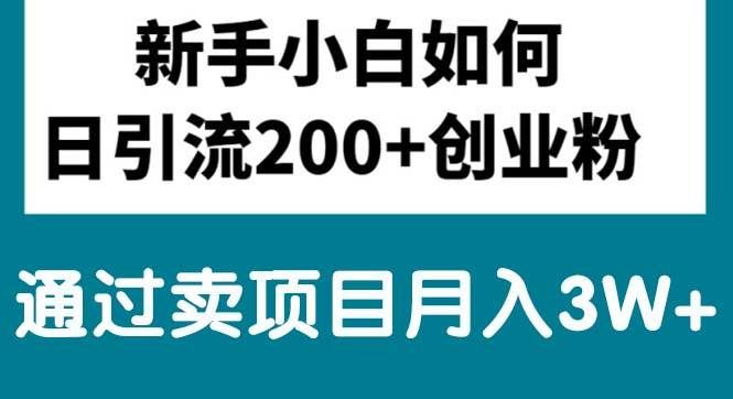 （10843期）新手小白日引流200+创业粉,通过卖项目月入3W+-云商网创