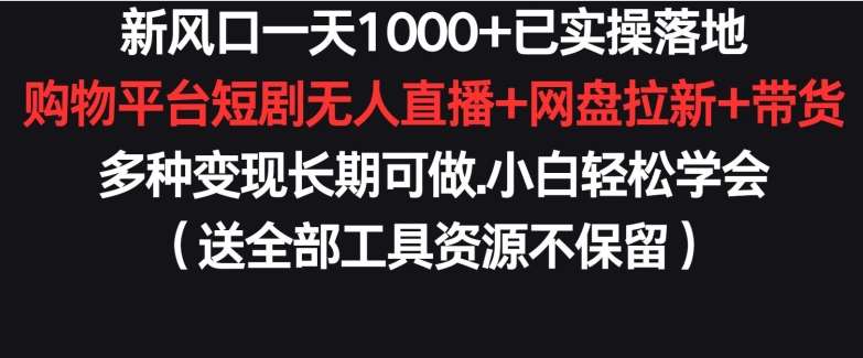 新风口一天1000+已实操落地购物平台短剧无人直播+网盘拉新+带货多种变现长期可做【揭秘】-云商网创