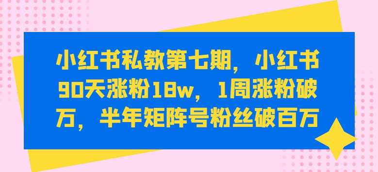 小红书私教第七期，小红书90天涨粉18w，1周涨粉破万，半年矩阵号粉丝破百万-云商网创