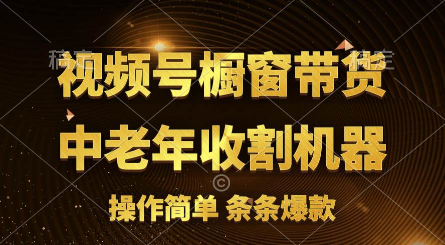 （11009期）[你的孩子成功取得高位]视频号最火爆赛道，橱窗带货，流量分成计划，条…-云商网创