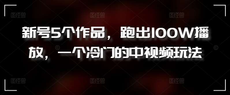 新号5个作品，跑出100W播放，一个冷门的中视频玩法【揭秘】-云商网创