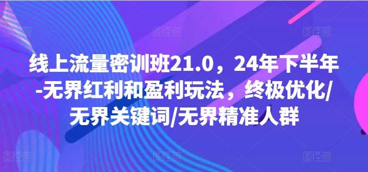 线上流量密训班21.0，24年下半年-无界红利和盈利玩法，终极优化/无界关键词/无界精准人群-云商网创