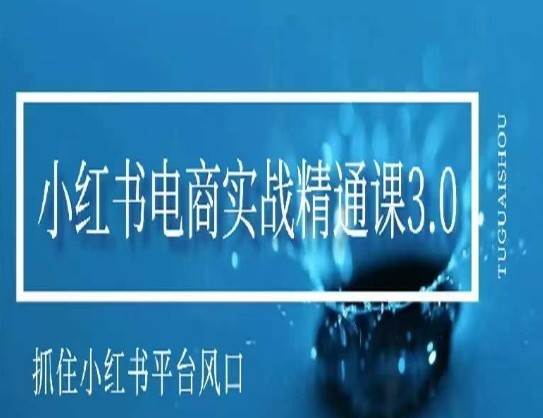 小红书电商实战精通课3.0，抓住小红书平台的风口，不错过有一个赚钱的机会-云商网创