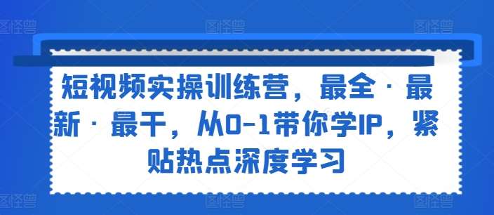 短视频实操训练营，最全·最新·最干，从0-1带你学IP，紧贴热点深度学习-云商网创