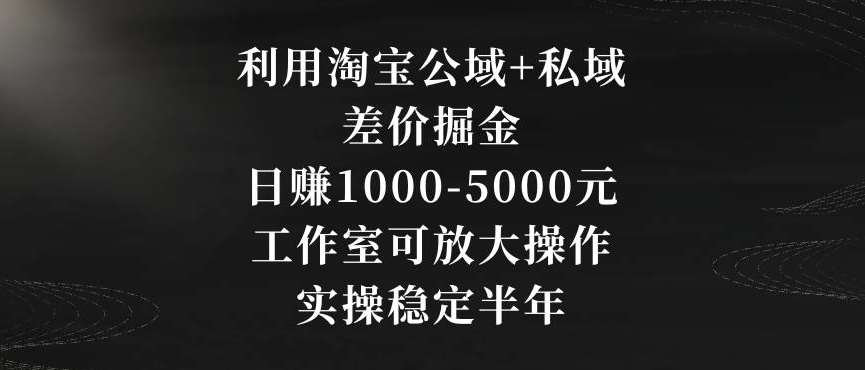 利用淘宝公域+私域差价掘金，日赚1000-5000元，工作室可放大操作，实操稳定半年【揭秘】-云商网创