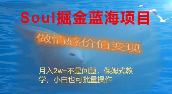 Soul掘金蓝海项目细分赛道，做情感价值变现，月入2w+不是问题-云商网创