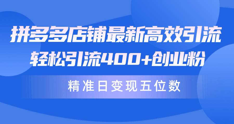 （10041期）拼多多店铺最新高效引流术，轻松引流400+创业粉，精准日变现五位数！-云商网创