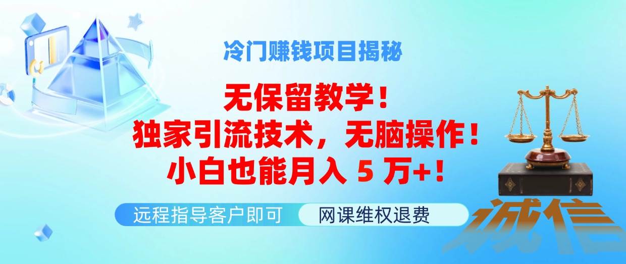 冷门赚钱项目无保留教学！独家引流技术，无脑操作！小白也能月入5万+！-云商网创