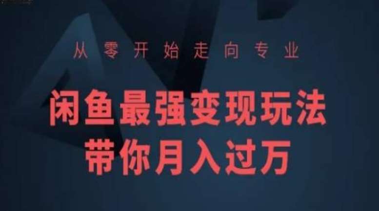 从零开始走向专业，闲鱼最强变现玩法带你月入过万-云商网创