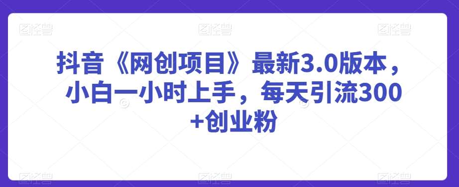 抖音《网创项目》最新3.0版本，小白一小时上手，每天引流300+创业粉【揭秘】-云商网创