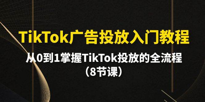 （10085期）TikTok广告投放入门教程，从0到1掌握TikTok投放的全流程（8节课）-云商网创