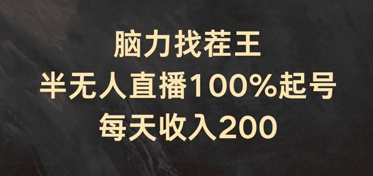 脑力找茬王，半无人直播100%起号，每天收入200+【揭秘】-云商网创