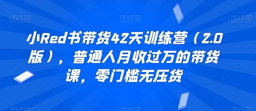 小Red书带货42天训练营（2.0版），普通人月收过万的带货课，零门槛无压货-云商网创