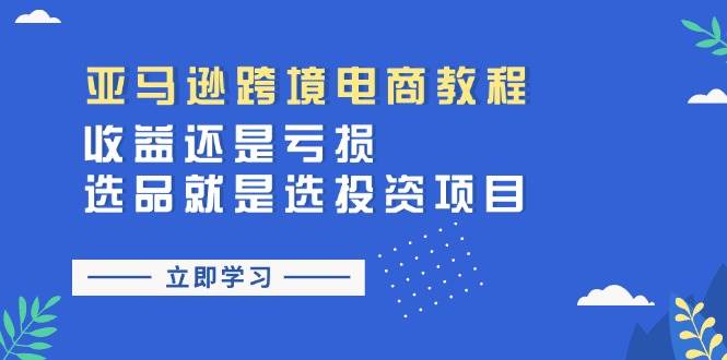 （11432期）亚马逊跨境电商教程：收益还是亏损！选品就是选投资项目-云商网创