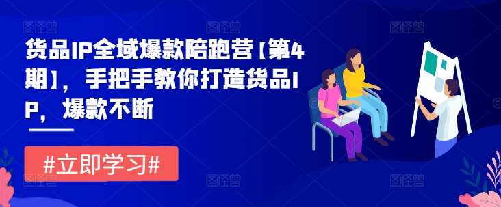 货品IP全域爆款陪跑营【第4期】，手把手教你打造货品IP，爆款不断-云商网创