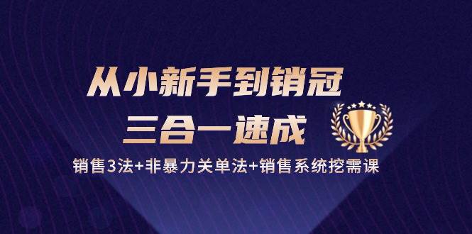 从小新手到销冠三合一速成：销售3法+非暴力关单法+销售系统挖需课 (27节)-云商网创