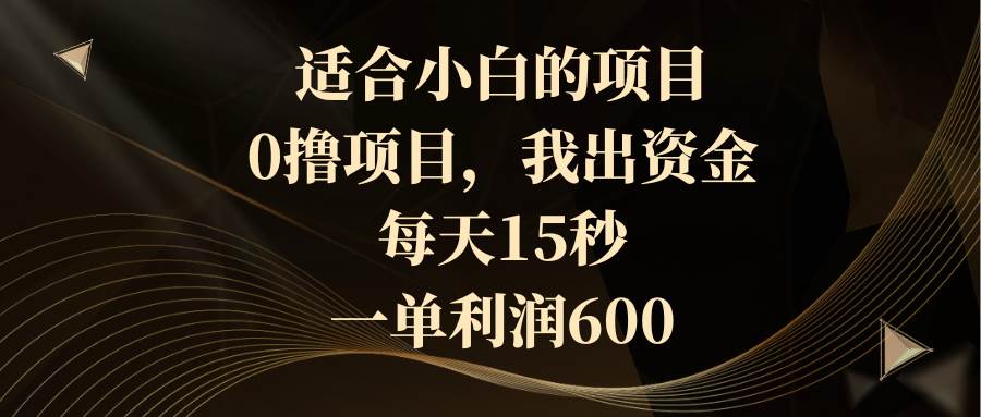 适合小白的项目，0撸项目，我出资金，每天15秒，一单利润600-云商网创