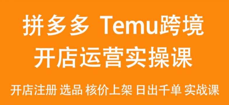 2024Temu最新玩法，Temu跨境开店运营实操课，开店注册/选品/核价上架/日出千单实战课-云商网创